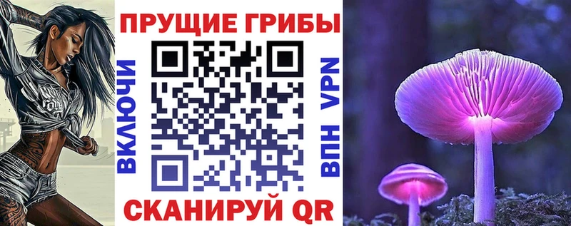 сколько стоит  Мончегорск  Галлюциногенные грибы Cubensis 