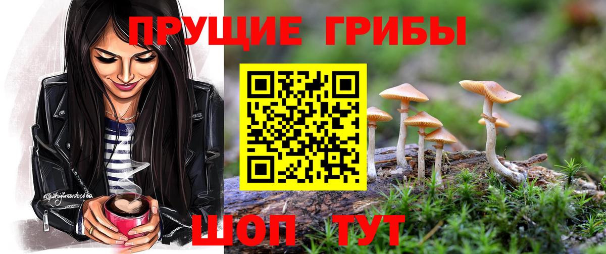 Псилоцибиновые грибы мухоморы Мончегорск