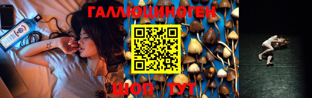 Псилоцибиновые грибы прущие грибы  Псилоцибиновые грибы Magic Shrooms  Мончегорск  Вход с VPN 